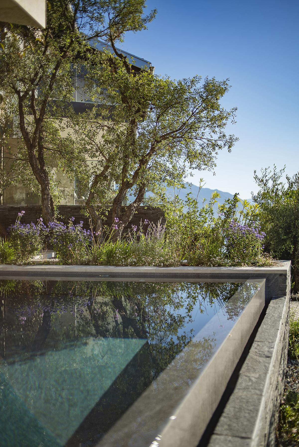 Infinity-Pool mit mediterraner Bepflanzung und Blick in die Landschaft.