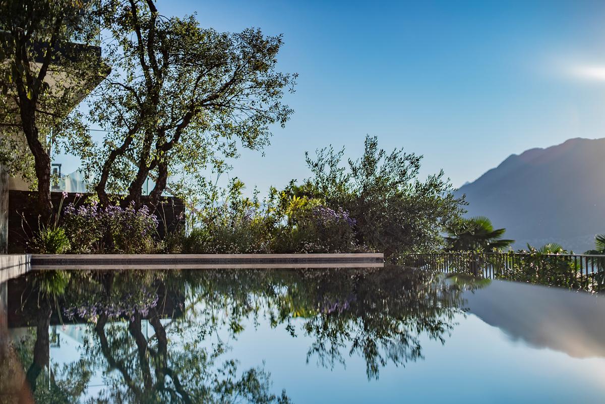 Poolbereich mit Olivenbäumen, Naturstein und mediterranen Stauden.