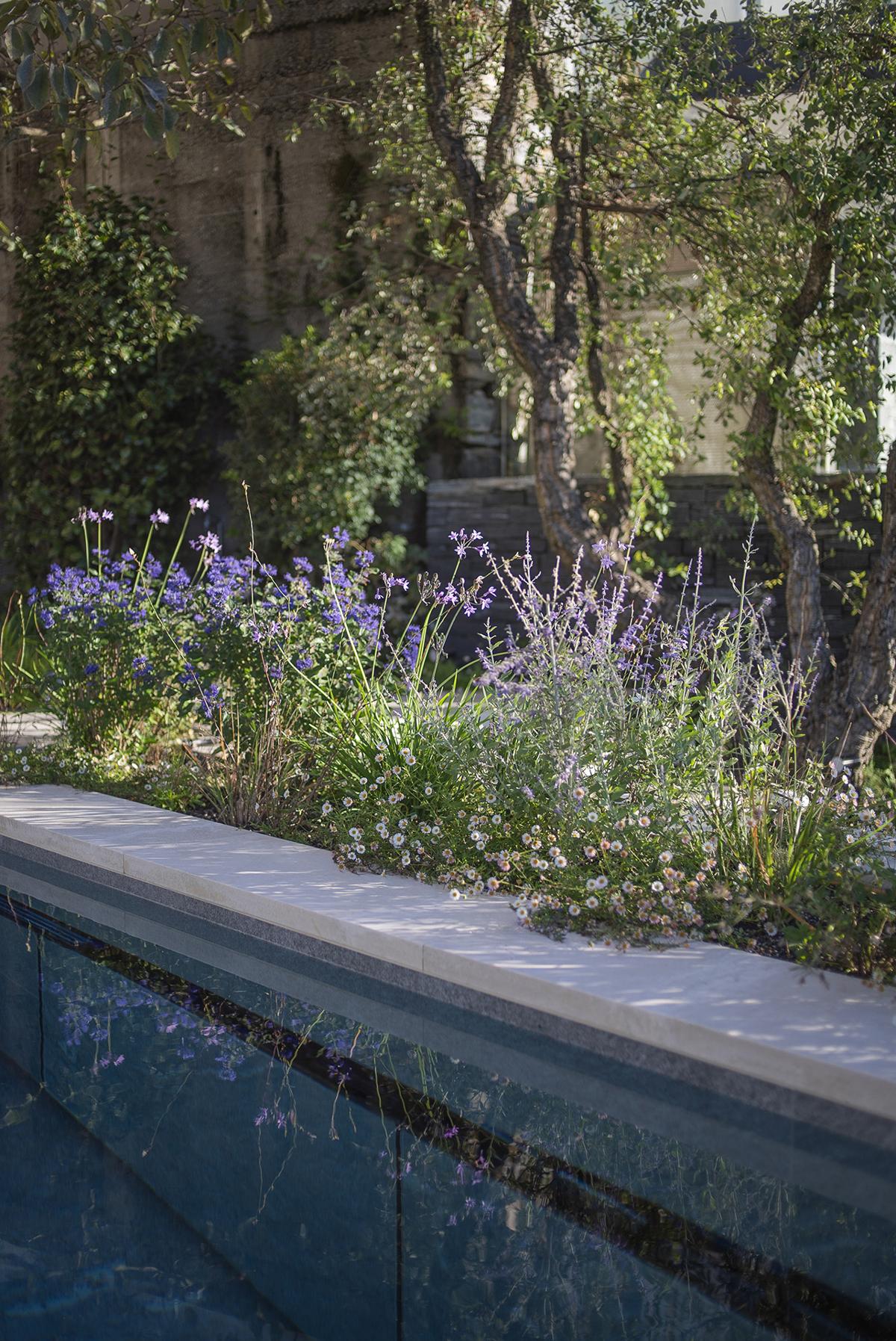 Detailansicht eines naturnah gestalteten Gartenraums.