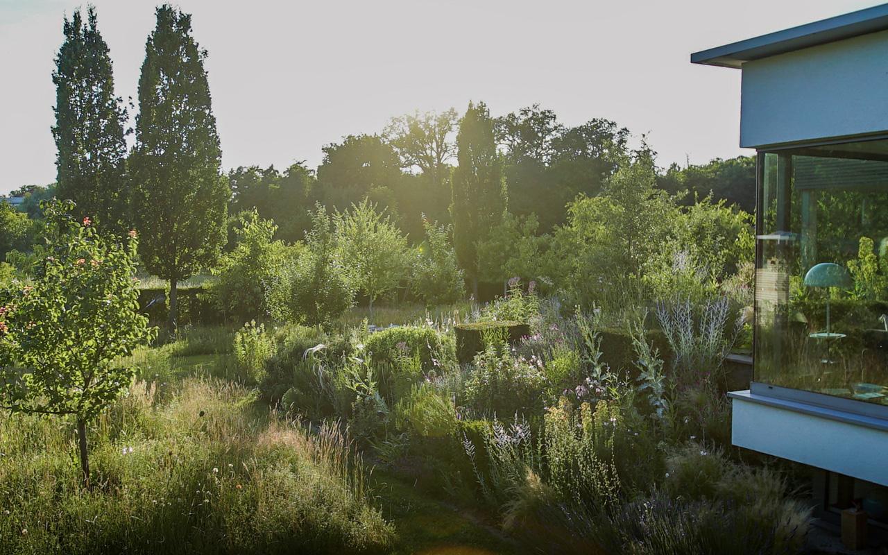 Orchard meadow with naturalistic garden structure