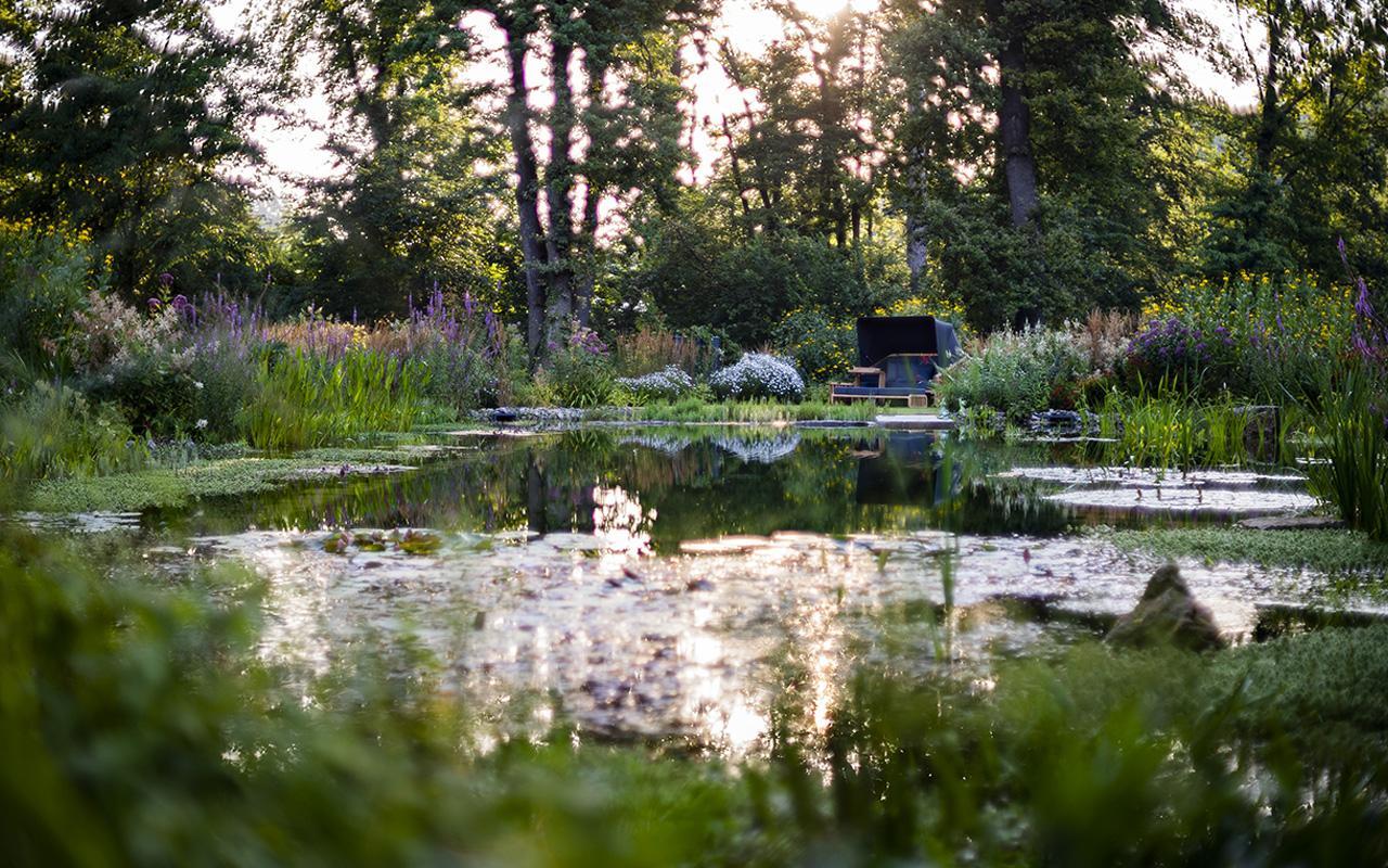 Garden planning with a swimming pond and terraces