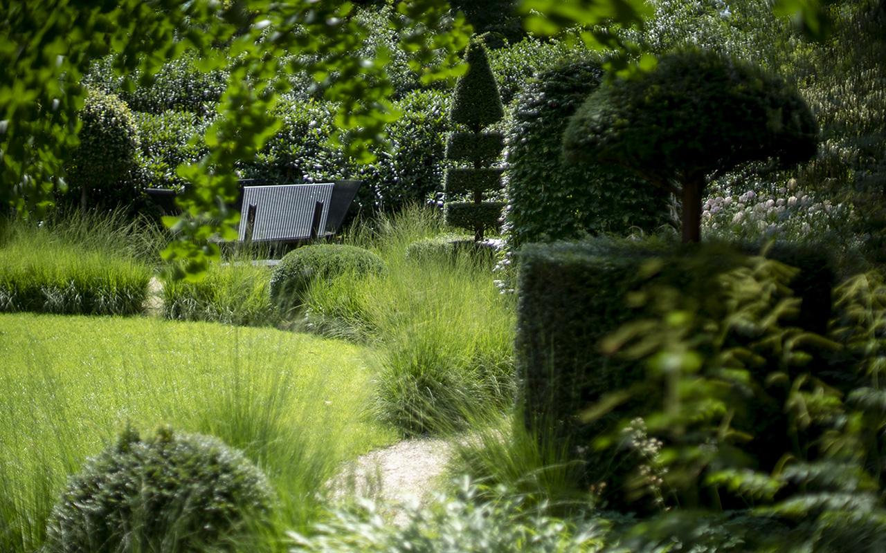 Modern garden design with geometric planting