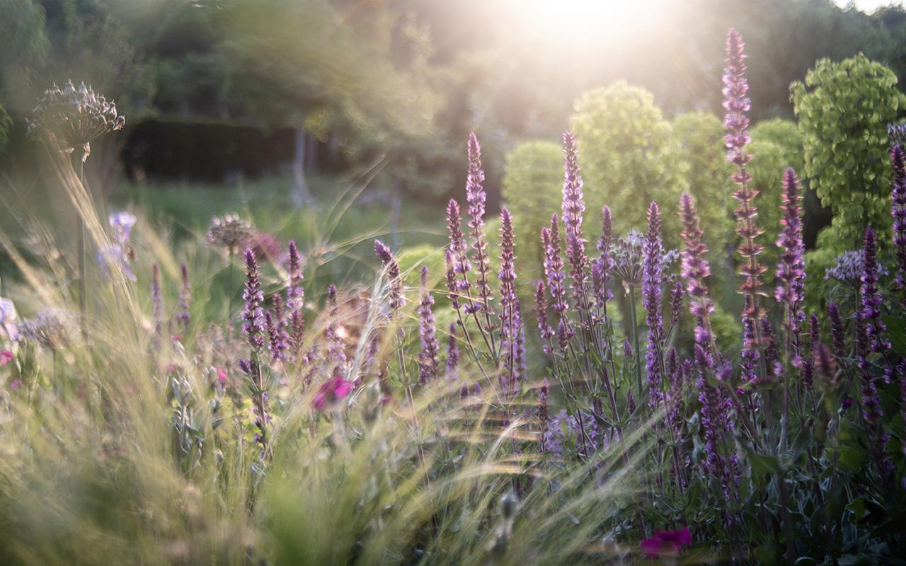 Perennial border with seasonal flowering structure