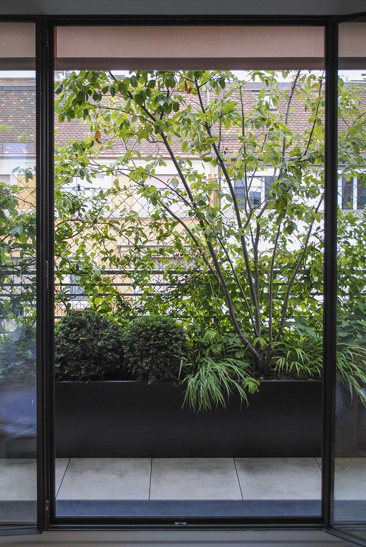 Detailansicht eines naturnah gestalteten Gartenraums.