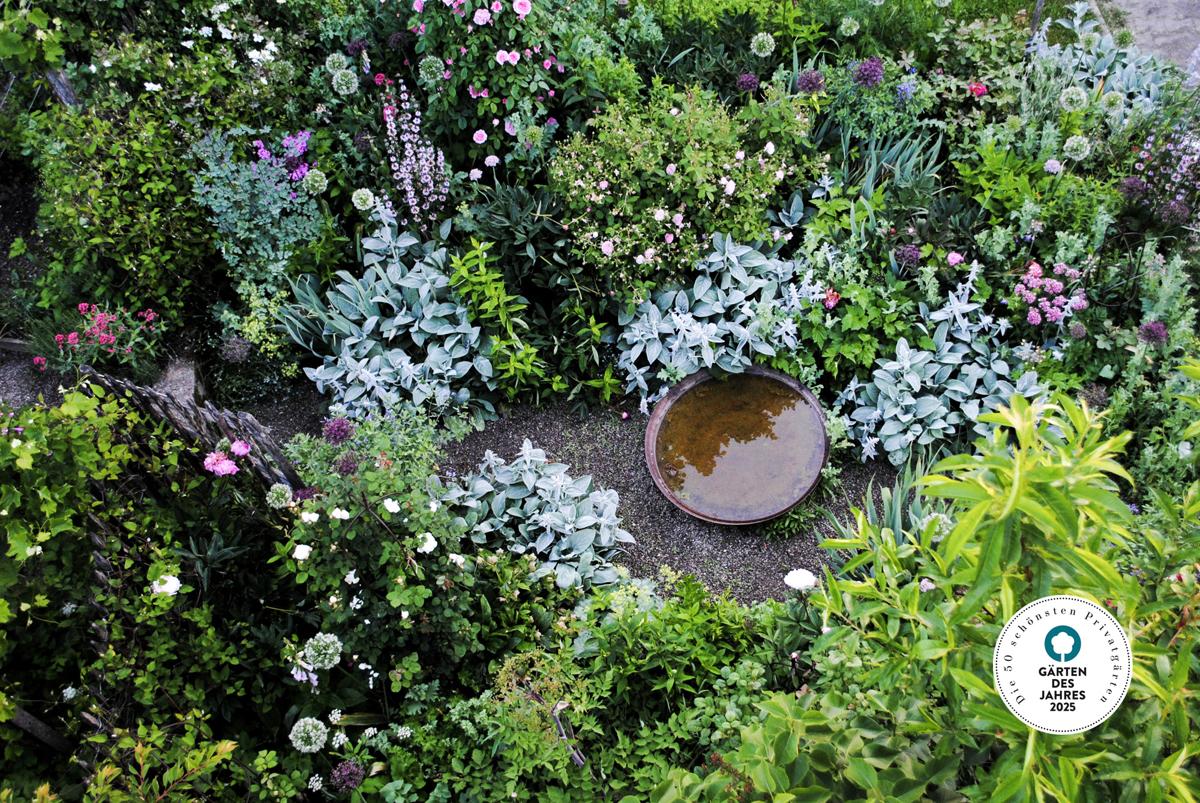 Perennial bed with seasonal bloom sequence and structural depth.