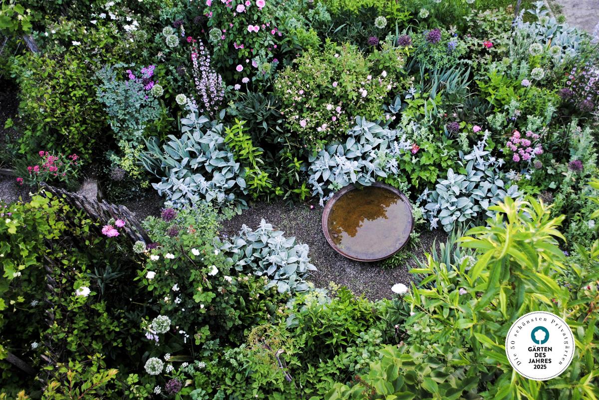 Perennial bed with seasonal bloom sequence and structural depth.