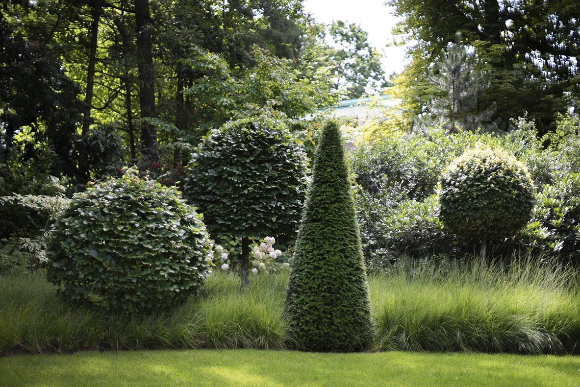 Formschnittgehölze als prägendes Gestaltungselement im Villengarten.