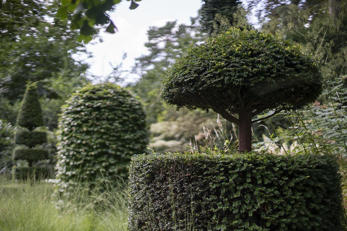 Formschnittgehölze als prägendes Gestaltungselement im Villengarten.