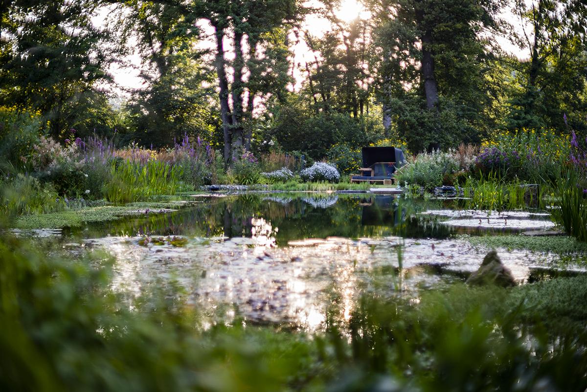 Naturnaher Schwimmteich mit strukturierter Uferbepflanzung.
