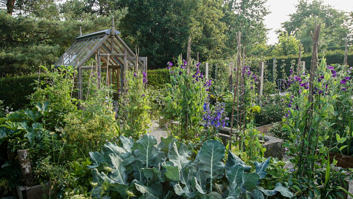 Gemüsegarten mit Gewächshaus und funktionaler Beetstruktur.