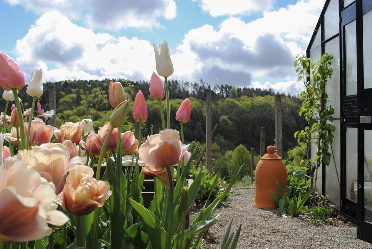 Schnittblumenbeet mit farblich abgestimmter Pflanzplanung.