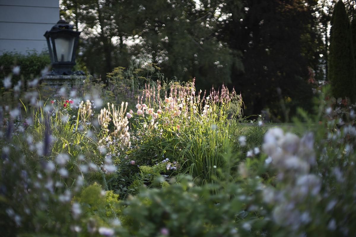 Schlossgarten mit differenzierter Staudenpflanzung und klassischer Gliederung.
