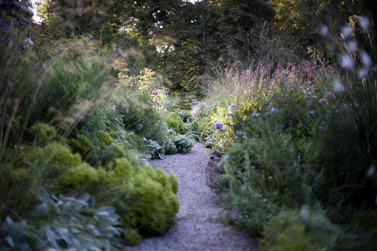 Detailansicht eines naturnah gestalteten Gartenraums.