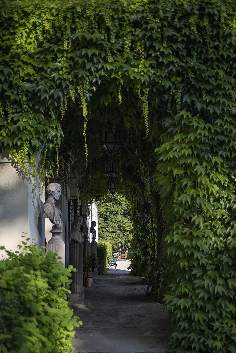 Verwunschener Schlossgarten mit dichter, atmosphärischer Bepflanzung.