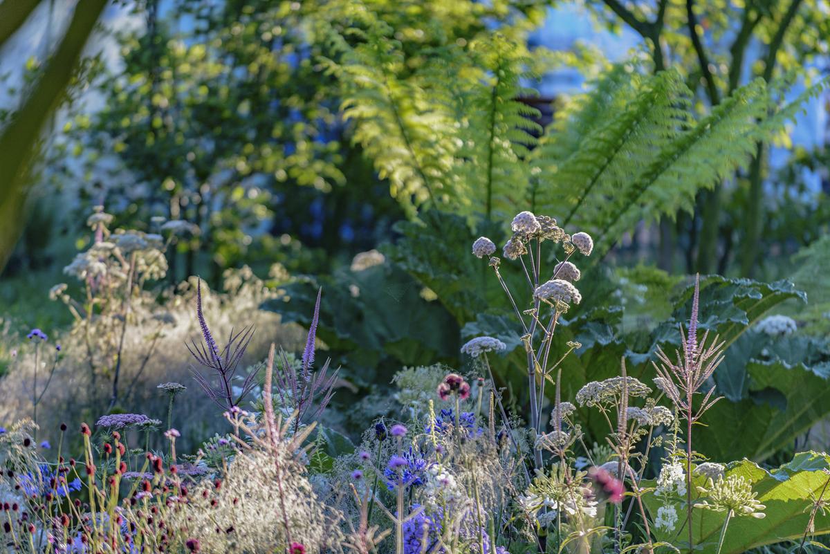 Showgarten mit dramaturgischer Pflanzkomposition und klarer Inszenierung.