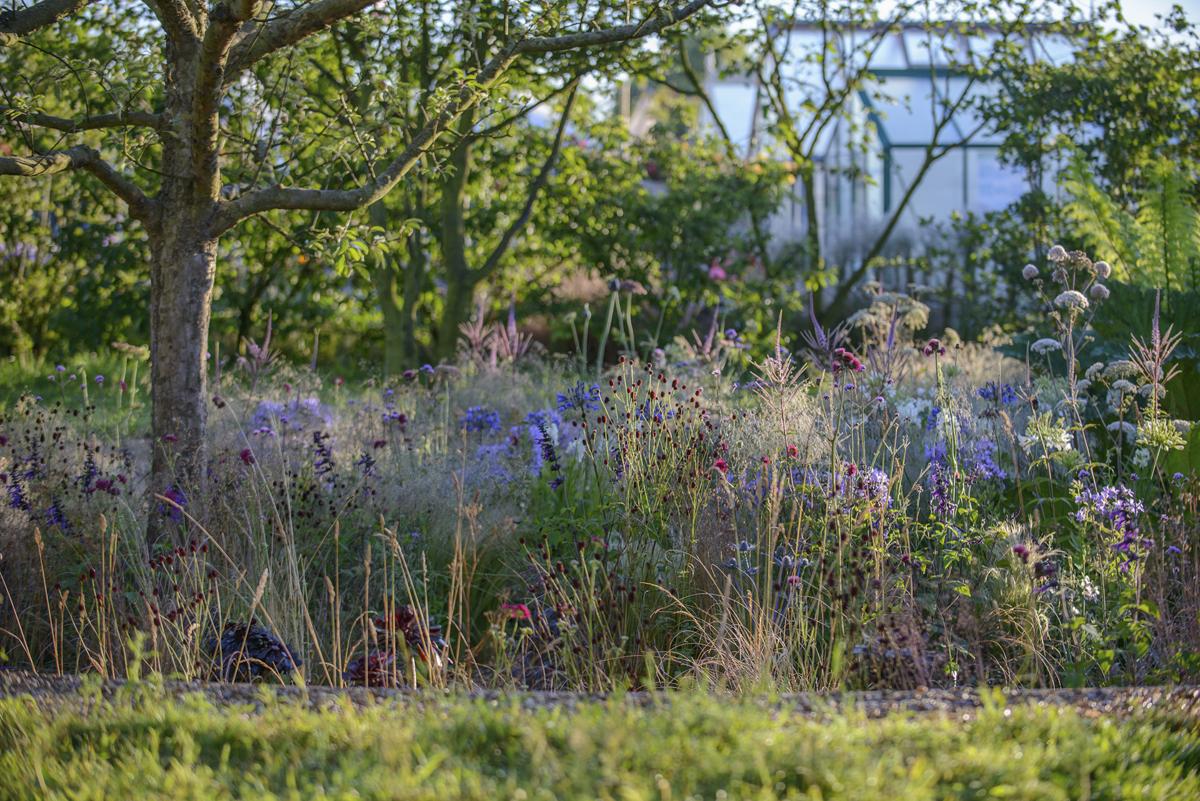 Showgarten mit dramaturgischer Pflanzkomposition und klarer Inszenierung.