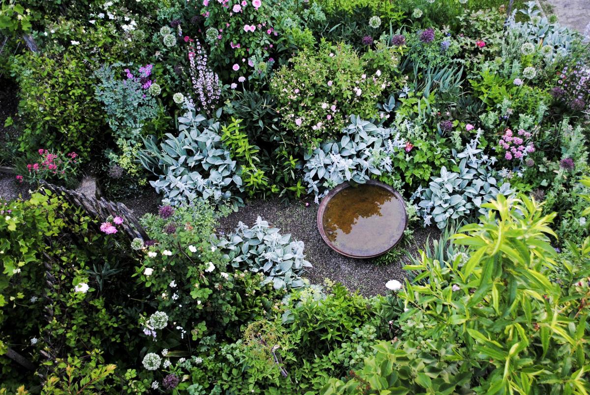 Staudenbeet mit saisonaler Blütenabfolge und strukturreicher Komposition.