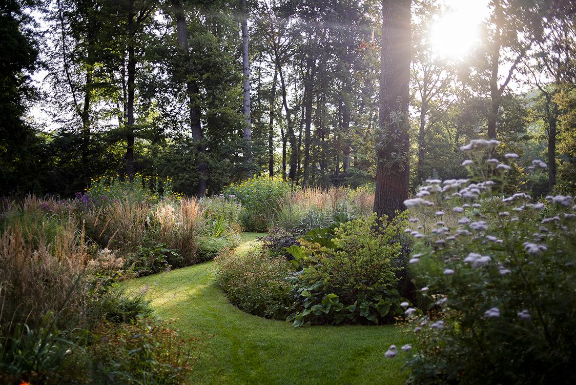 Staudenbeet mit saisonaler Blütenabfolge und strukturreicher Komposition.