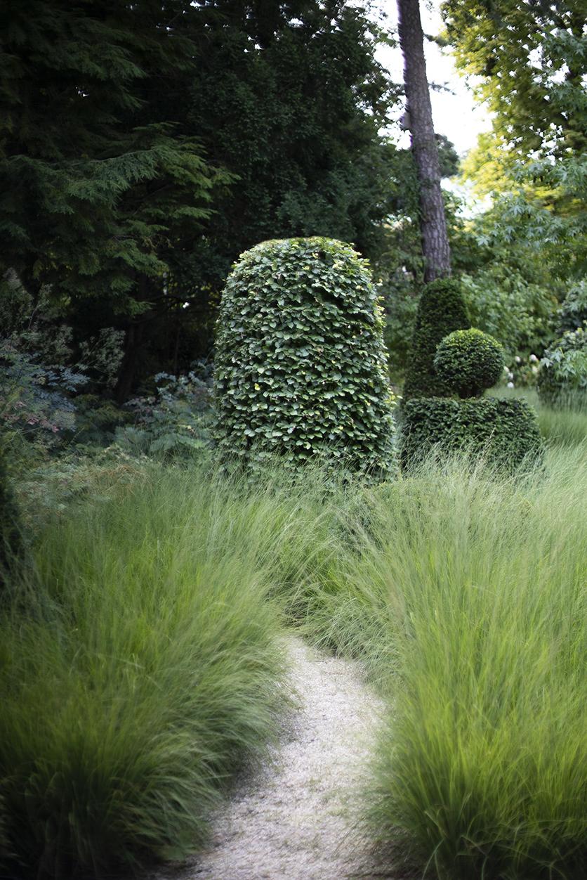 Detailansicht eines naturnah gestalteten Gartenraums.
