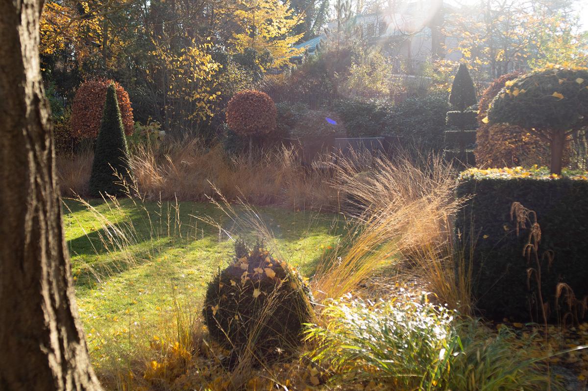 Detailansicht eines naturnah gestalteten Gartenraums.