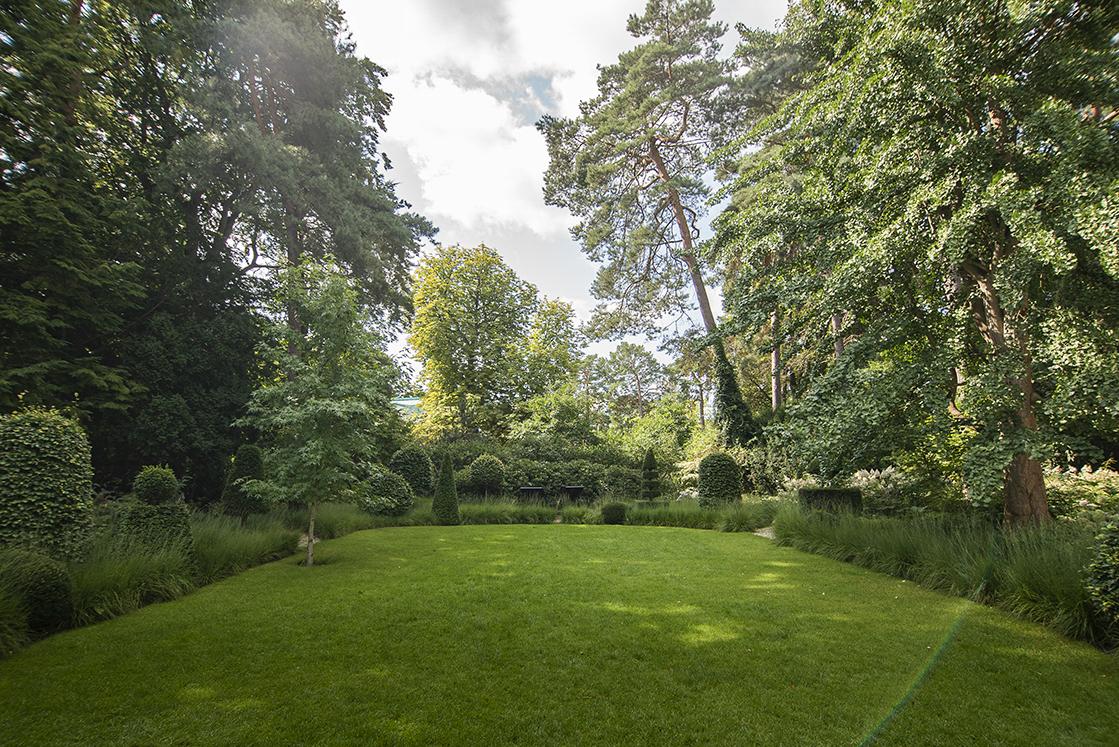 Detailansicht eines naturnah gestalteten Gartenraums.