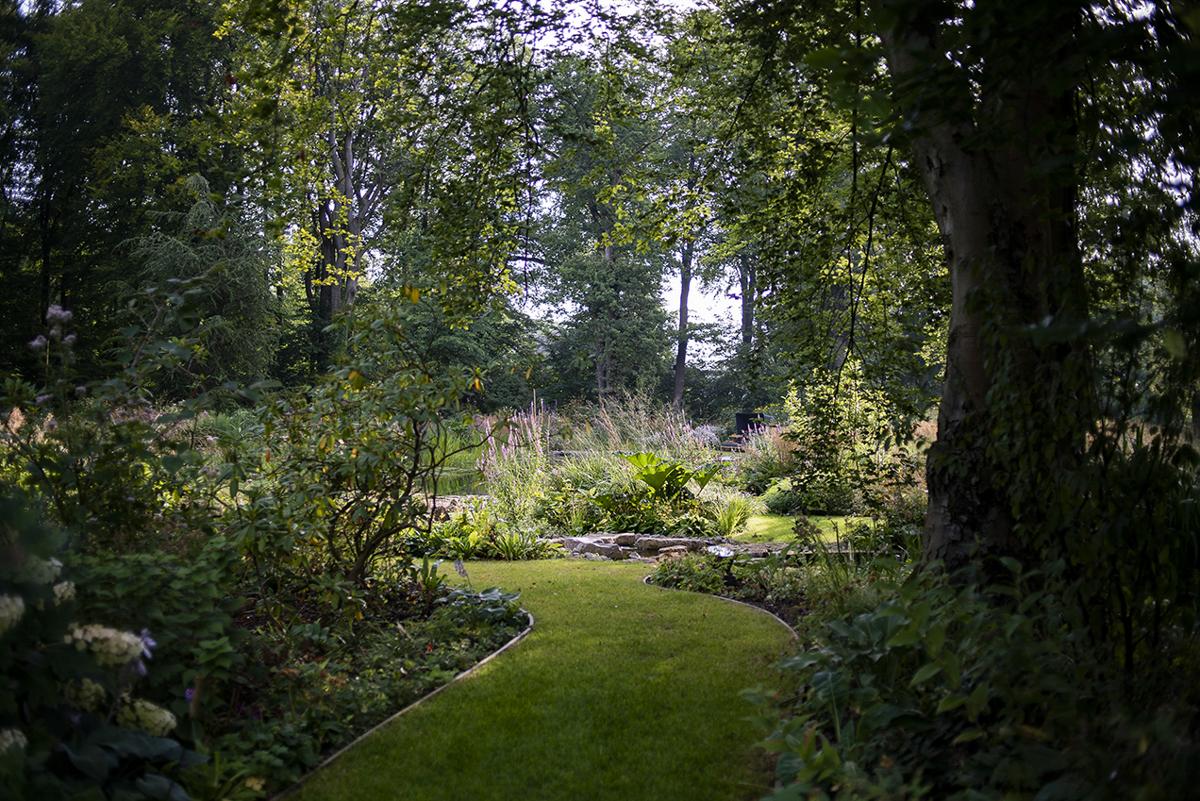 Waldgarten mit vielschichtiger Bepflanzung und natürlicher Tiefenwirkung.
