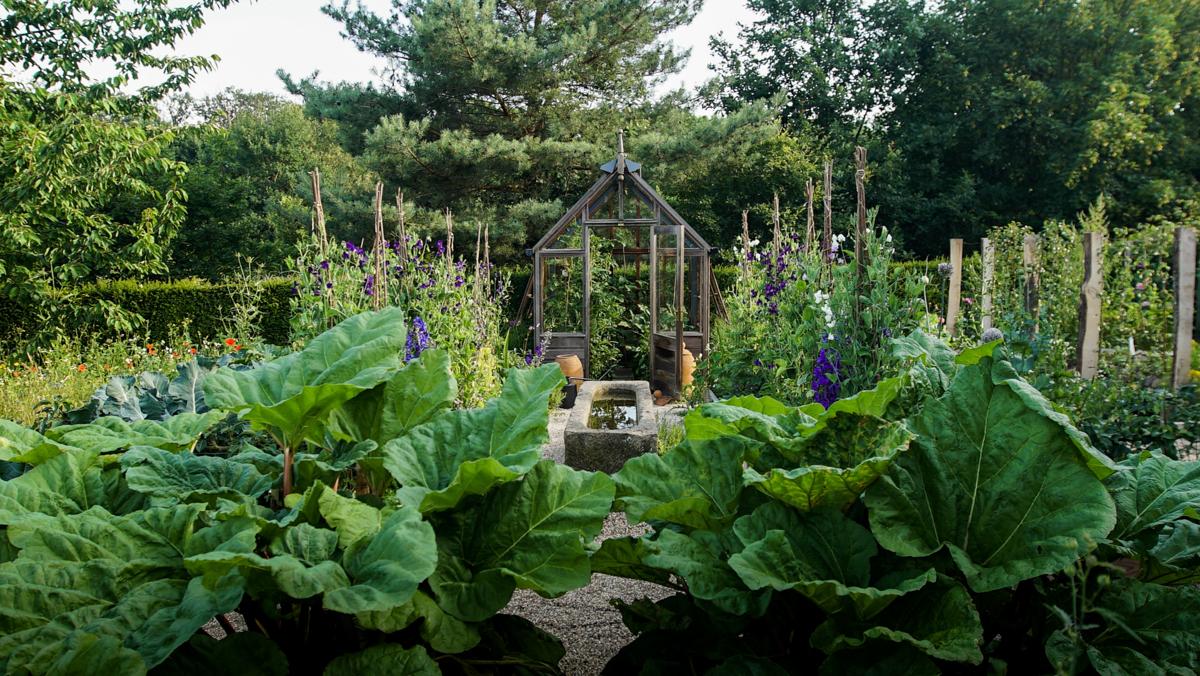 Gemüsegarten mit klarer Gliederung und produktiver Bepflanzung.