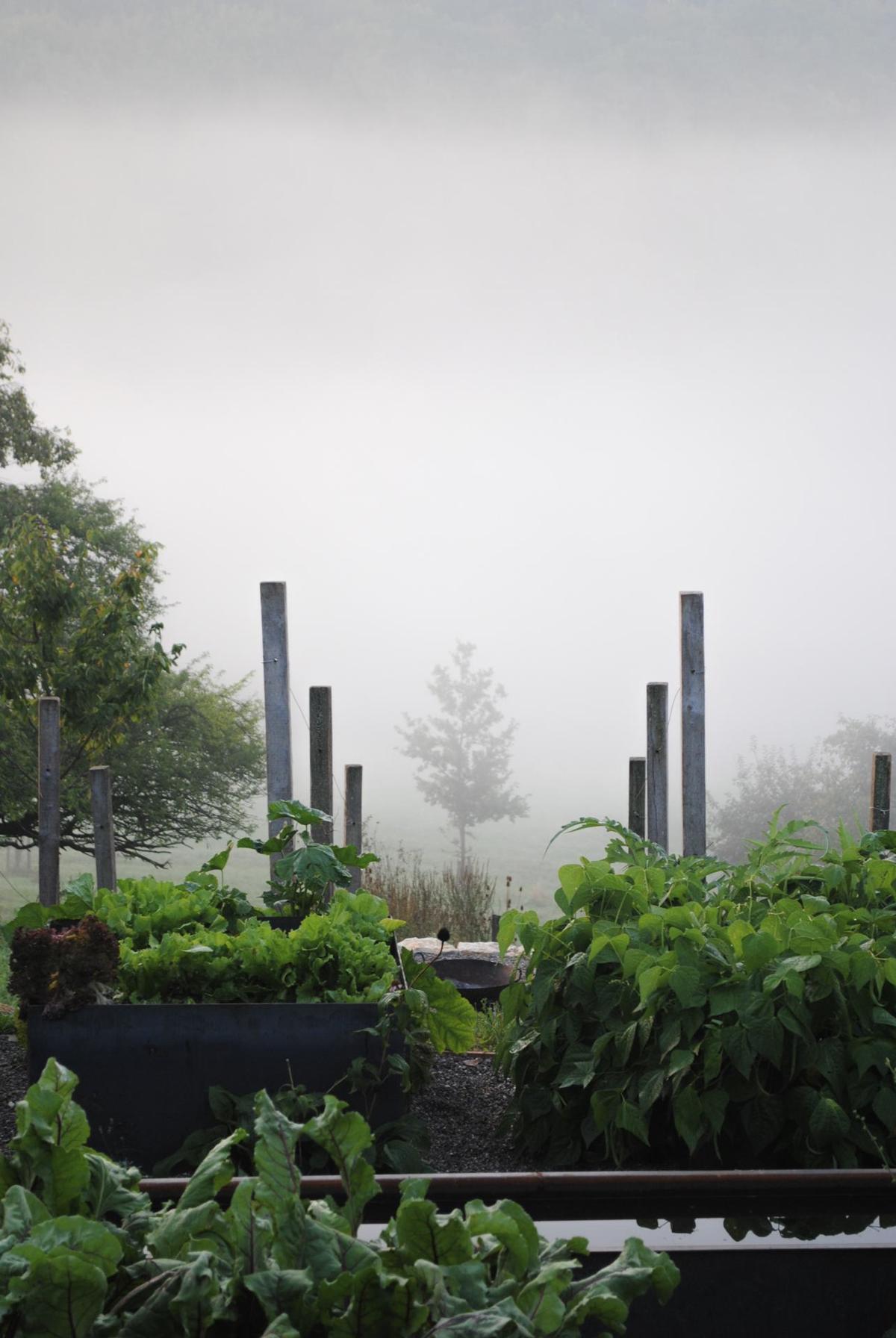 Gemüsegarten mit klarer Gliederung und produktiver Bepflanzung.