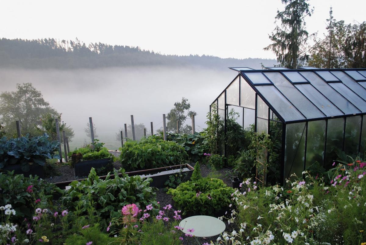 Gemüsegarten mit Gewächshaus und funktionaler Beetstruktur.