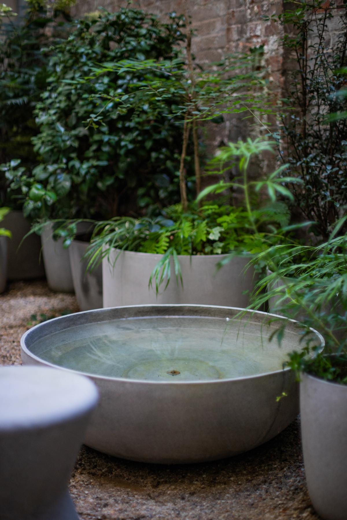 Detailansicht eines naturnah gestalteten Gartenraums.