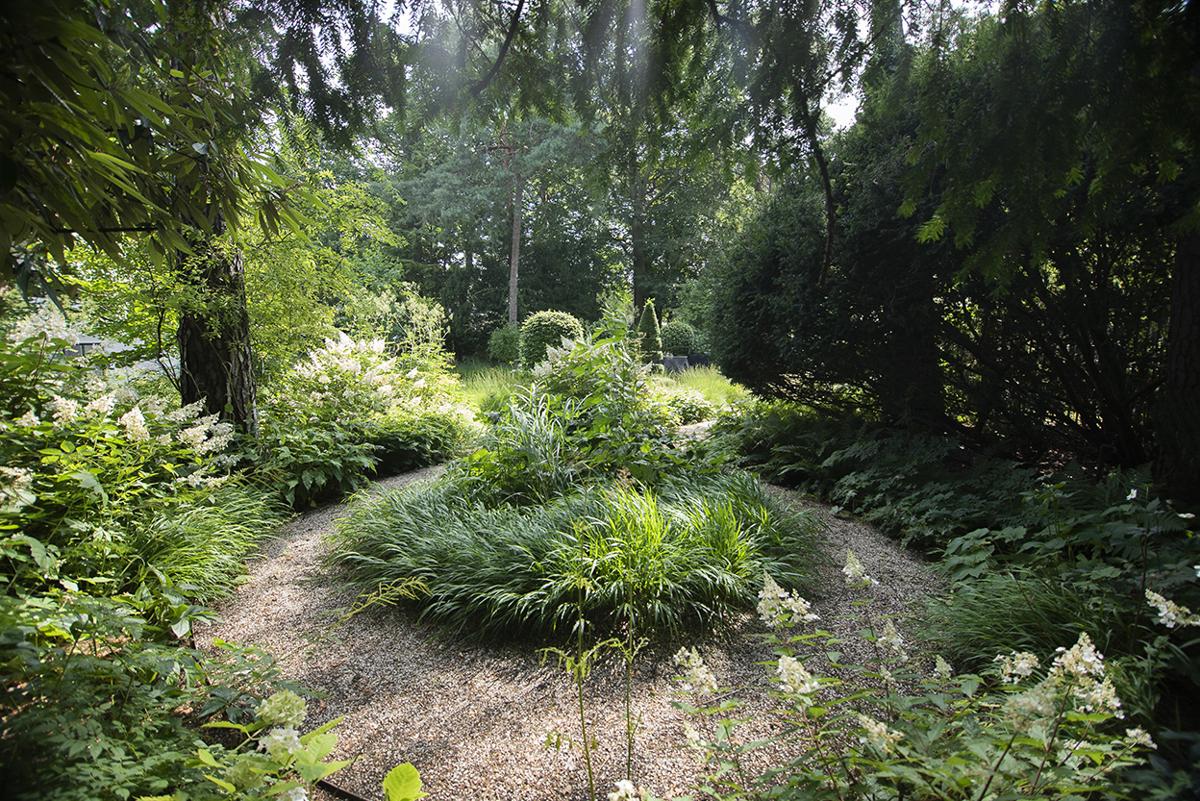 Schattengarten mit weißen Blüten und fein abgestufter Staudenstruktur.