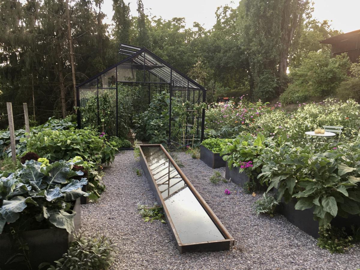 Gemüsegarten mit klarer Gliederung und produktiver Bepflanzung.