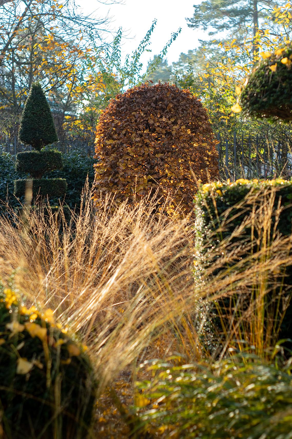 Formschnittgehölze als prägendes Gestaltungselement im Villengarten.