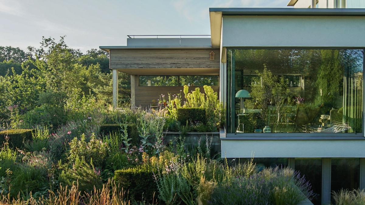 Staudenpflanzung mit naturnaher Dynamik und langer Jahreszeitenwirkung.