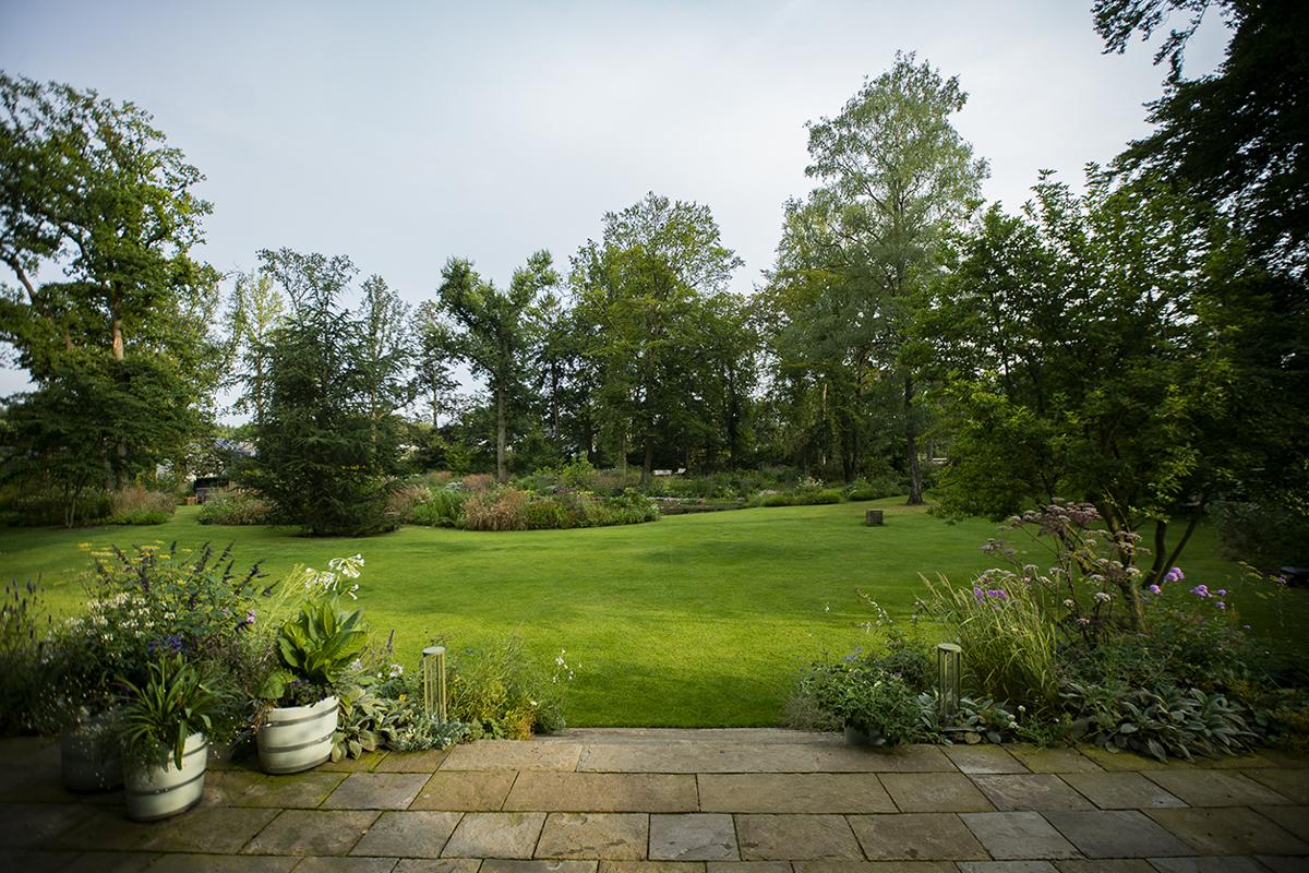 Detailansicht eines naturnah gestalteten Gartenraums.