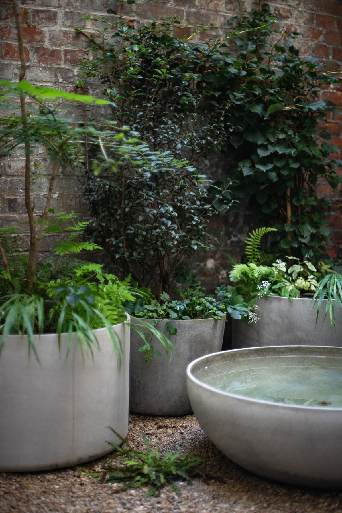 Urbaner Innenhofgarten mit schattenverträglicher Pflanzung.