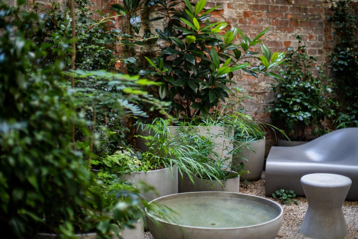 Urbaner Innenhofgarten mit schattenverträglicher Pflanzung.