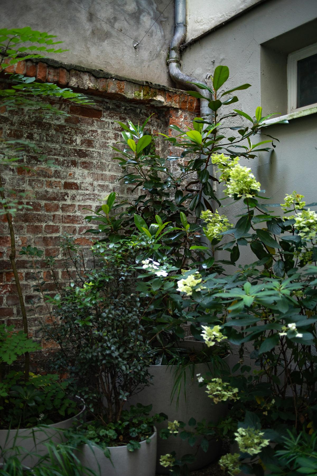 Schattengarten mit weißen Blüten und fein abgestufter Staudenstruktur.