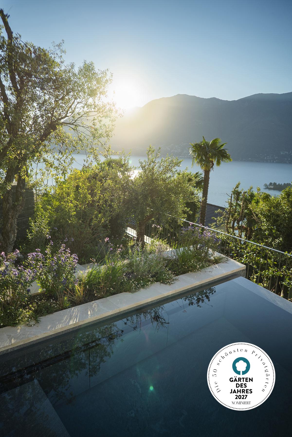 Pool within a terraced garden and naturalistic Mediterranean planting.