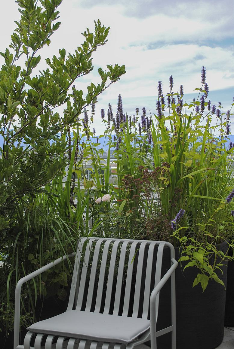 Dachgarten mit strukturgebender Pflanzung und großzügiger Terrassenwirkung.
