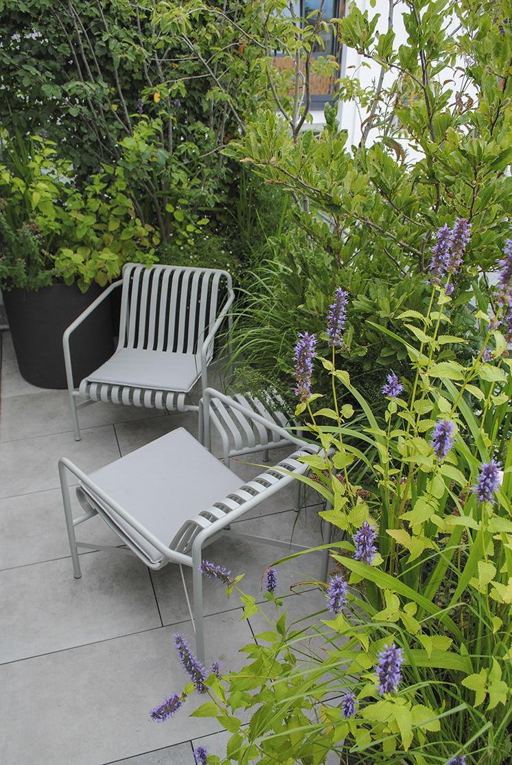 Dachgarten mit strukturgebender Pflanzung und großzügiger Terrassenwirkung.