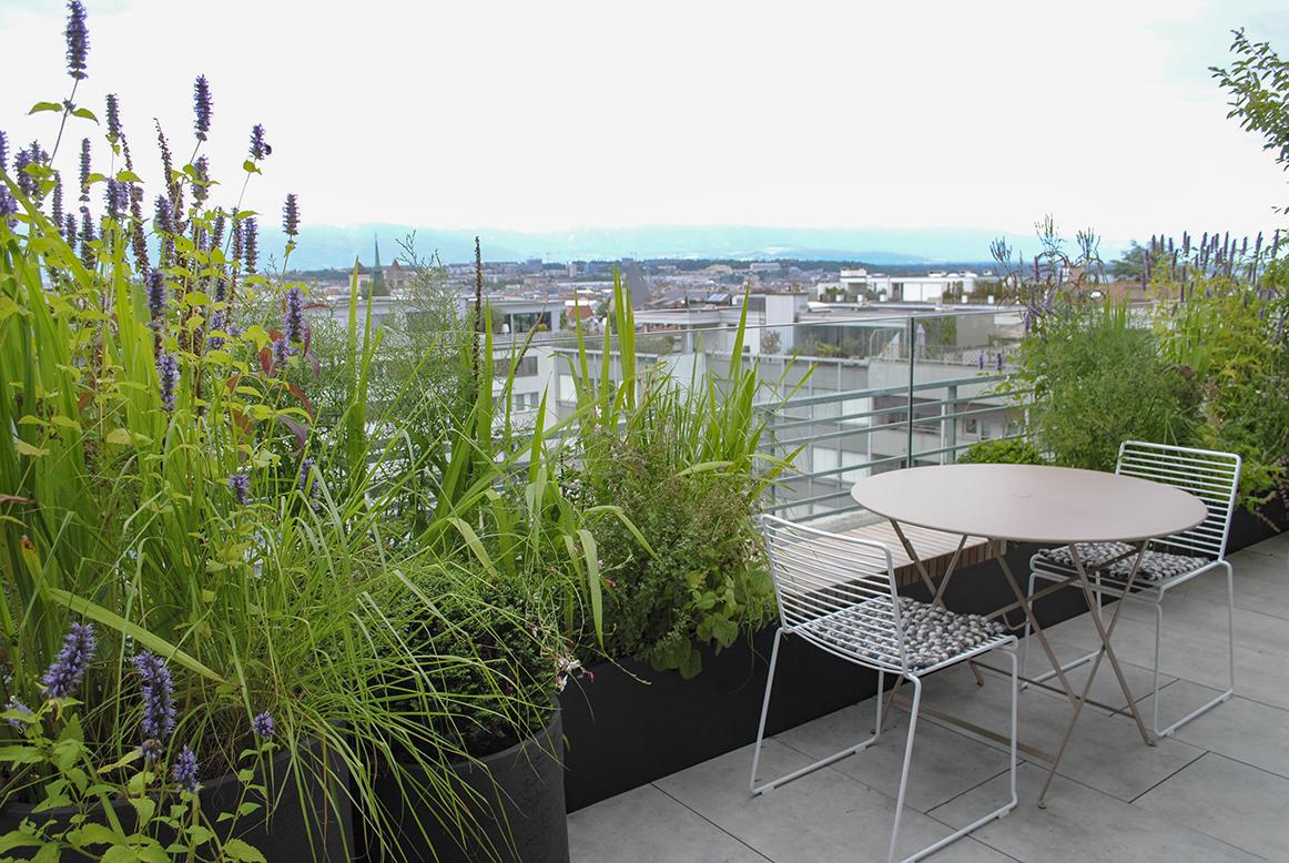 Dachgarten mit strukturgebender Pflanzung und großzügiger Terrassenwirkung.