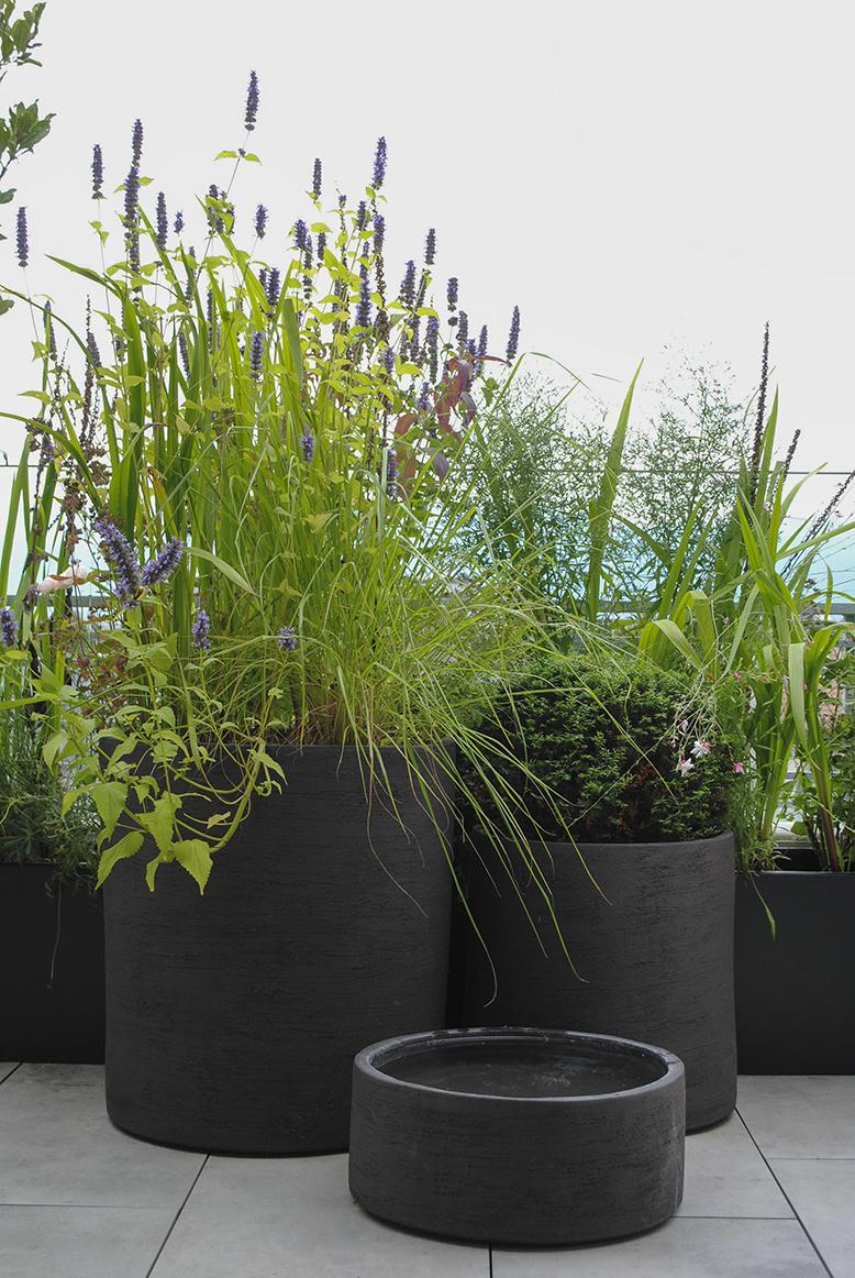 Terrassenbepflanzung mit Topfpflanzen und Stauden für urbane Freiräume.