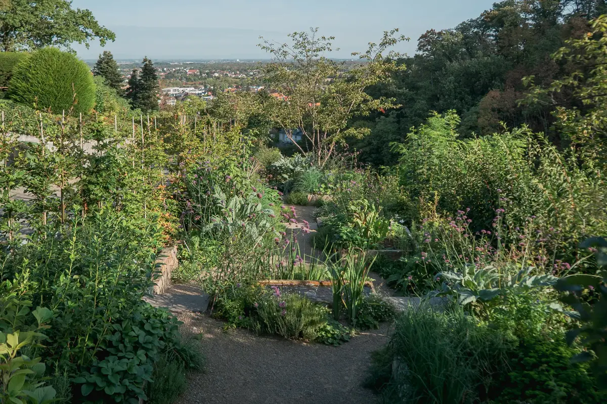 Bergstrasse Hanggarten Blick Ueber Terrassen Ebene