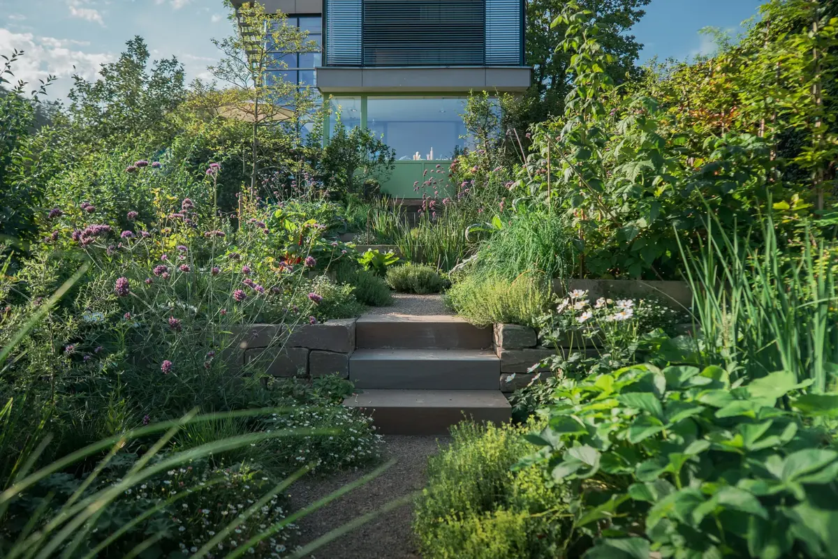 Terraced hillside garden design on the Bergstrasse with stone block steps, natural stone walls and verbena below the house