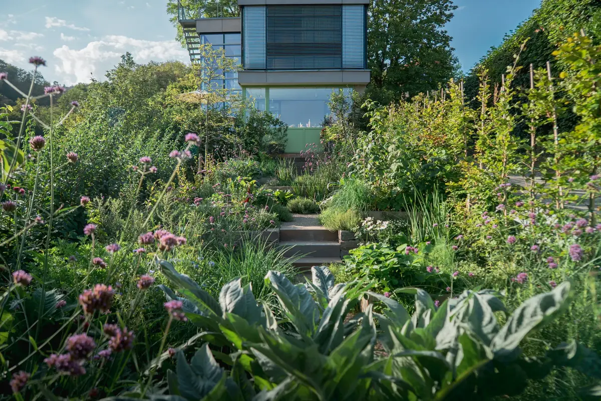 Bergstrasse Hanggarten Kardy Eisenkraut Stufen Haus
