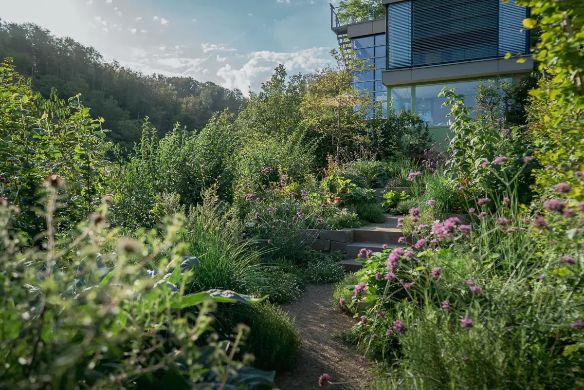Bergstrasse Hanggarten Kiesweg Eisenkraut Waldhang