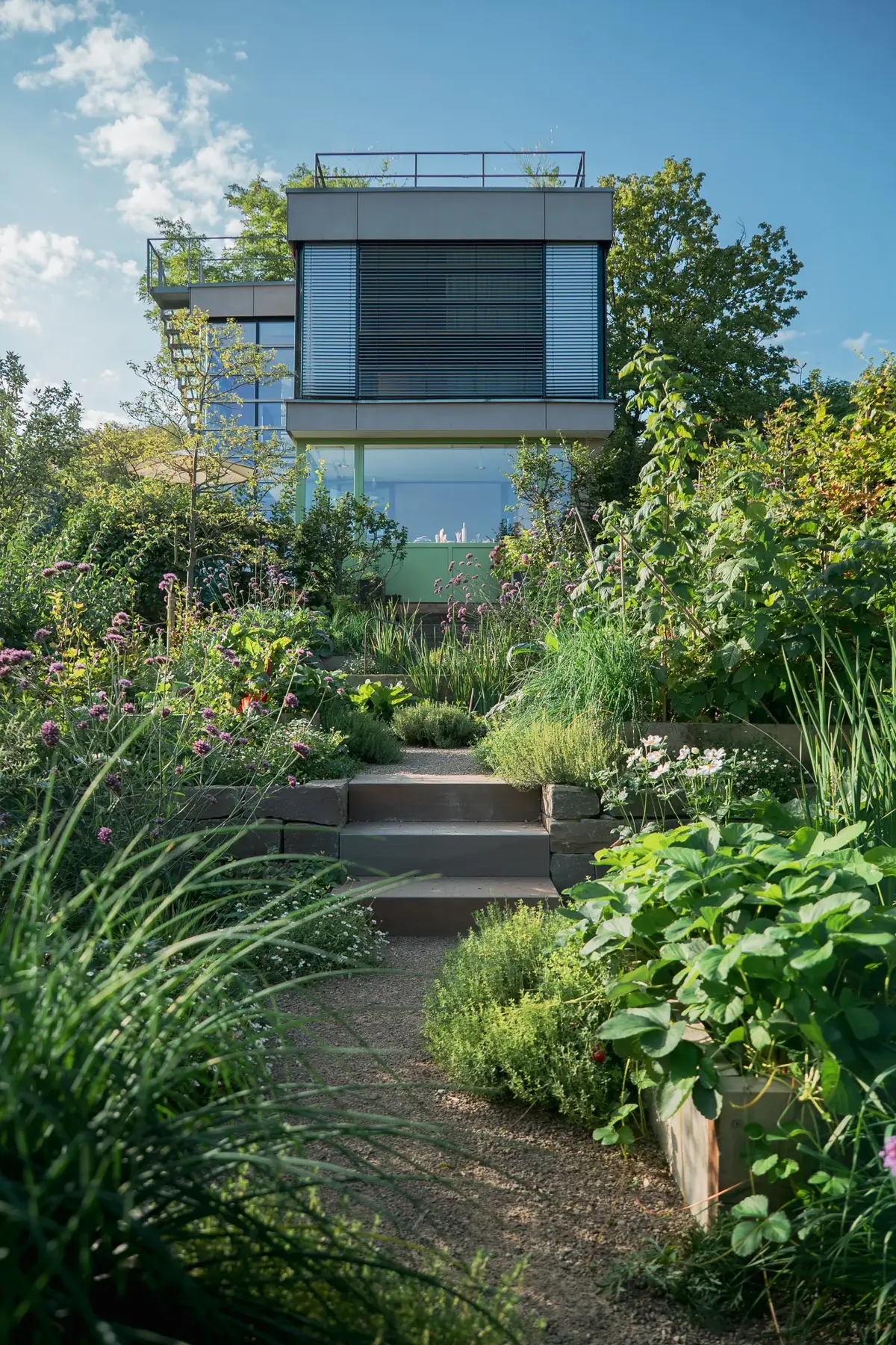 Bergstrasse Hanggarten Treppenweg Wohnhaus Thymian