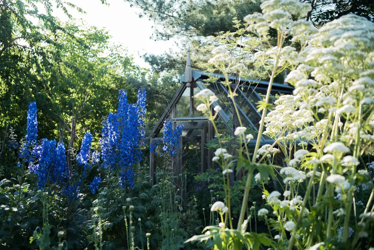 Detailansicht eines naturnah gestalteten Gartenraums.