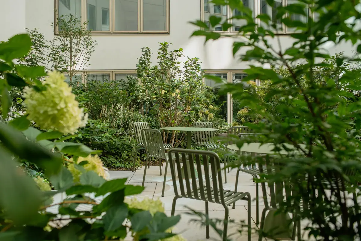 Hackescher Markt Hofgarten Hortensie Durchblick Sitzplatz
